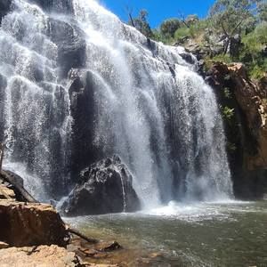 Meet your Posher, Leeann